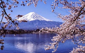 Tour Osaka-Kyoto-Núi Phú Sĩ-Tokyo-Odaiba: Nhật Bản rực rỡ mùa hoa anh đào