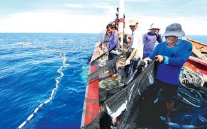 Cứu kịp thời 22 ngư dân gặp nạn ở ngư trường Hoàng Sa