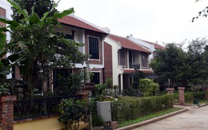 Xử lý dứt điểm vi phạm trong sử dụng đất đai và trật tự xây dựng tại Ba Vì