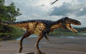 Giải mã bí ẩn sự tiến hóa của khủng long bạo chúa