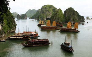 4 năm nữa, hầu như sẽ không còn tàu du lịch vỏ gỗ trên Vịnh Hạ Long