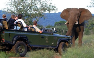 Tour Johannesburg - Cape Town: Nam Phi có gì lạ?