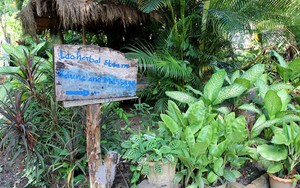 Vào chùa Lào…massage