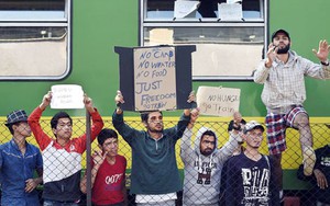 WHO cảnh báo người di cư mang bệnh lao đa kháng thuốc vào châu Âu