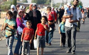 Thư châu Âu: Những người vẫy xe dọc đường