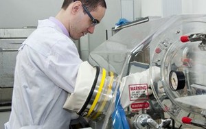 Nga nghiên cứu thuốc chống ung thư dựa trên bọt biển