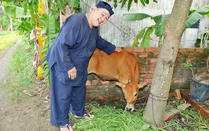 Lục lạc vàng 'cắt sóng' Minh Béo