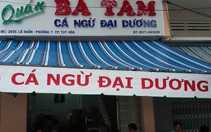 Ăn món 'đèn pha' ngon hết biết ở 'thủ đô cá ngừ' của Việt Nam