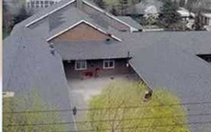 Lộ dinh thự rộng gấp 4 lần sân bóng của Kiều nữ Trung Quốc Lưu Diệc Phi