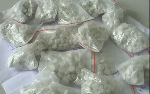 Hai án tử hình trong vụ mua bán trái phép trên 11,8 kg ma tuý