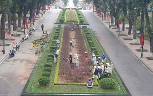 Công viên Thống Nhất: Chuyện chưa dứt về 'lá phổi' của Thủ đô