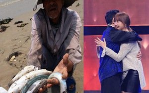 Remix Giải trí: Trấn Thành – Hari Won 'diễn bài ca' hạnh phúc và chiến thắng