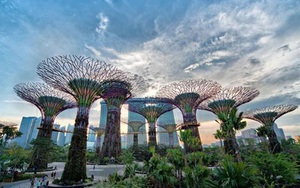 Tour Singapore siêu tiết kiệm: Thỏa cơn “ghiền” mua sắm