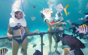 SỐC!!! Không biết bơi vẫn có thể đi bộ dưới đáy biển Cù Lao Chàm