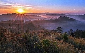 Đà Lạt, xem là mê