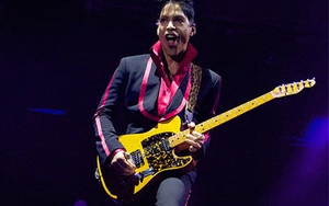 Trước khi đột tử, Prince từng cố gắng gặp bác sĩ để cai thuốc giảm đau