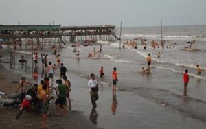 Xử lý việc đưa thông tin không chính xác về hải sản chết tại bãi biển Cồn Vành