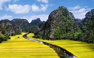 Tour Hoa Lư-Tam Cốc Mùa Lúa Chín-Hồ Tây-Hạ Long-Yên Tử: Mê hoặc đất kinh kỳ