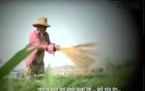 Vụ 'cây chổi quét rau': VTV bị phạt 50 triệu đồng và buộc phải cải chính xin lỗi