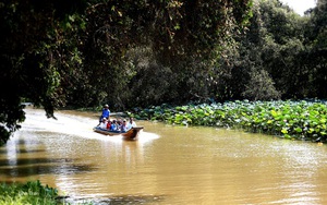 Xuôi dòng Cửu Long (phần cuối)