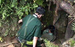 Thanh Hóa: Đánh sập hang Nước sau khi tìm thấy thi thể 3 phu vàng