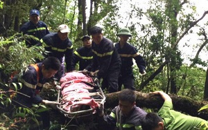 Hành trình mở đường xuyên rừng đưa thi thể du khách Anh trở về