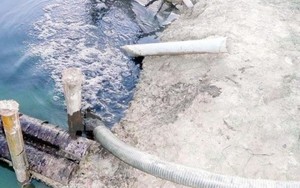 Phạt doanh nghiệp xả thải ra sông Vàm Cỏ Đông 340 triệu đồng
