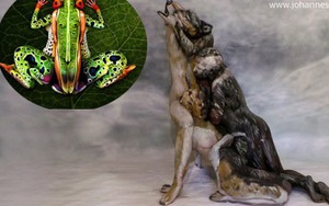 KINH NGẠC: Biến người mẫu nữ thành ếch xanh và chó sói