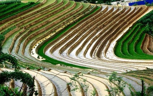 Chùm ảnh du lịch: Mù Cang Chải đẹp nao lòng mùa nước đổ