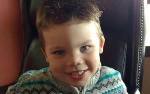 Vụ bé trai bị cá sấu lôi xuống hồ: 5 con cá sấu đã bị bắt