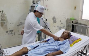 Cứu sống một bệnh nhân 61 tuổi, bị đàn ong vò vẽ đốt 70 vết