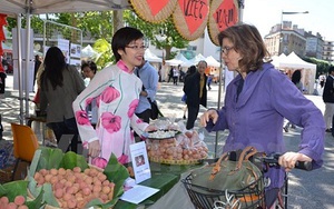 Triệu phú đô la người Việt - Ngô Minh Đường