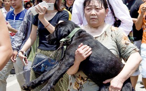 Nộp tiền chuộc để cứu chó khỏi bị ăn thịt trong lễ hội 'giải đen'