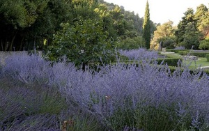 Ghé thăm vườn tình yêu và cầu tình nhân ở Pháp