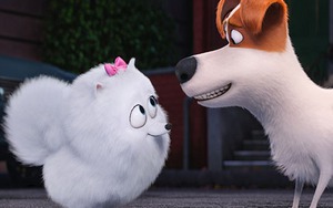 'Đẳng cấp thú cưng': 4 ngày ra rạp Việt, thu gần 1 triệu USD