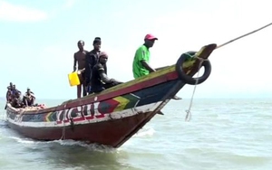 Ngư dân tận vùng biển Guinea ở Tây Phi cũng 'khóc' vì tàu cá Trung Quốc