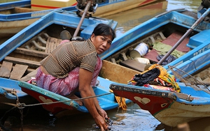 Cá chết bất thường trên thượng nguồn sông Sài Gòn