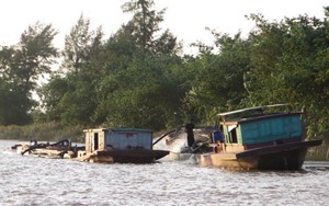 Vì sao hàng chục nghìn m2 đất ở bãi sông Hồng bị cho thuê trái thẩm quyền?