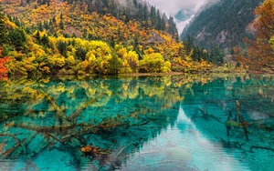 Tour khám phá Cửu Trại Câu: Tiên cảnh chốn nhân gian