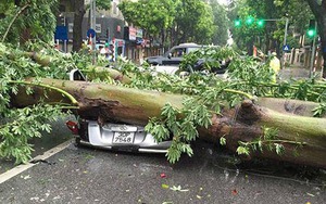 Bão số 1 làm đảo lộn cuộc sống của người dân Hà Nội