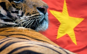 Báo Nga: Việt Nam có thể trở thành một 'con hổ' mới của châu Á