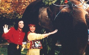 Elizabeth Taylor & Michael Jackson - Mối quan hệ lạ lùng nhất Hollywood