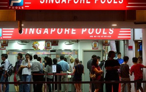 Cá cược thể thao: Quản lý là chìa khóa của thành công