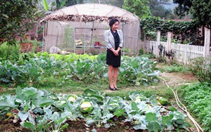 Mỹ Linh trồng rau, nuôi cá, thả gà tại trang trại ở Sóc Sơn