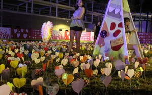 Giới trẻ thích thú với hàng trăm điểm 'check in' đẹp tại 'lễ hội triệu đô' ở Đà Nẵng