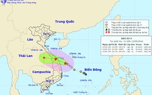 Tin mới nhất: Sáng mai, bão số 4 đổ bộ vào Trung Trung Bộ