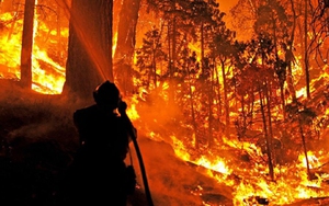 Indonesia điều 22.000 binh sĩ, cảnh sát và lính cứu hỏa dập tắt cháy rừng