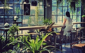 Gardenista Cafe: Uống cafe và 'sống chậm' ở đây thì tuyệt