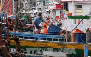 Đài Loan (Trung Quốc) sơ tán du khách trước khi bão Megi đổ bộ