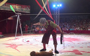 Xót xa một NSƯT xiếc tử vong ngay trên sàn diễn